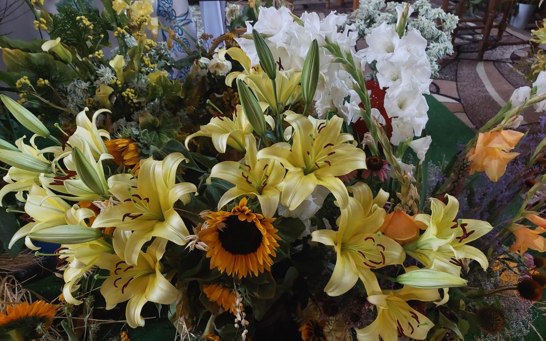 Przygotowania do&nbsp;MB Zielnej