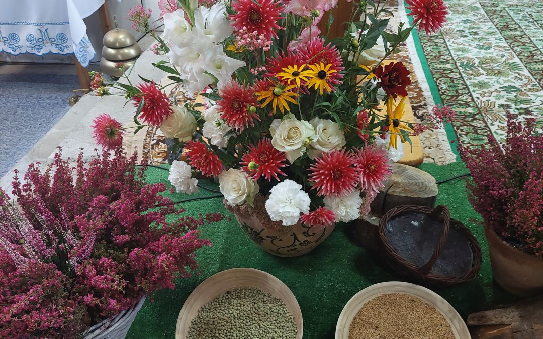 Matki Bożej Siewnej