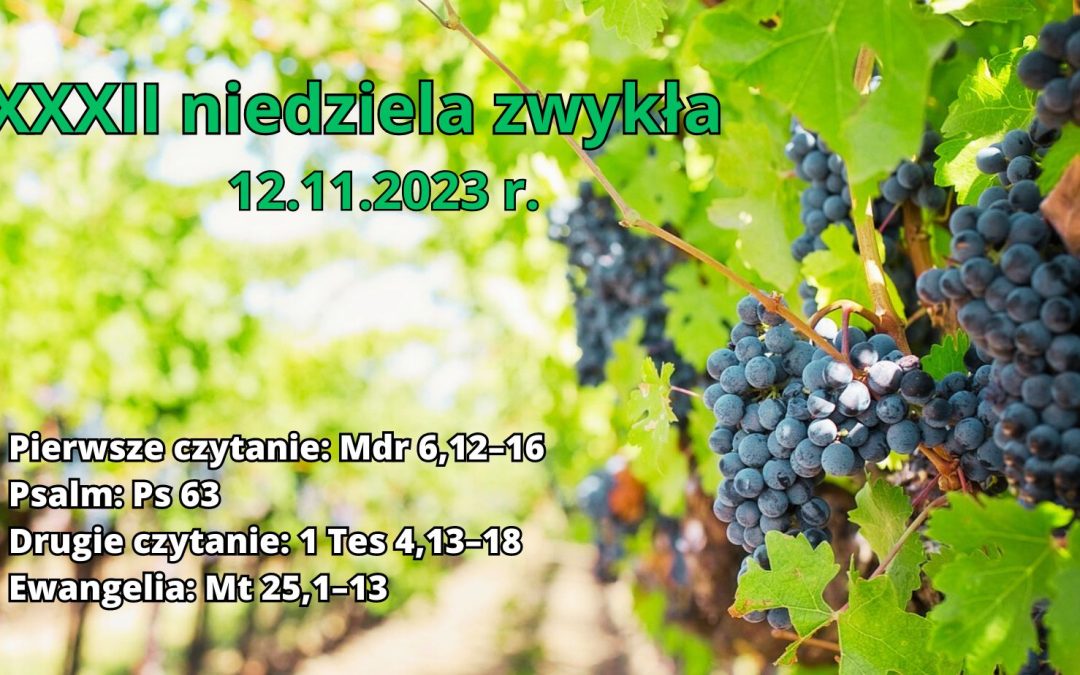Ogłoszenia duszpasterskie 12.11.2023&nbsp;r.