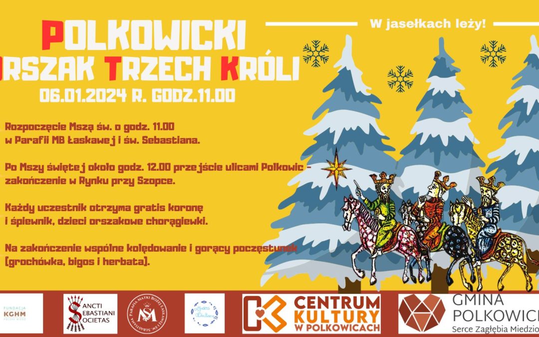 Partnerzy Orszaku Trzech Króli